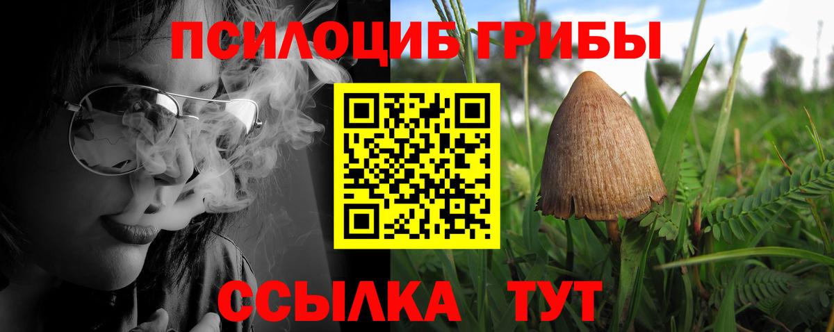 Псилоцибиновые грибы Cubensis  наркошоп  Галлюциногенные грибы Magic Shrooms  Избербаш  Вход с VPN 